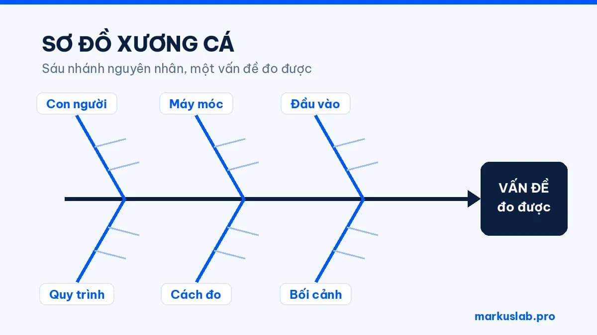 Biểu đồ xương cá là gì? Cách vẽ đúng trong 5 bước (2026)